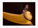 Pregnancy Photography Melbourne logo